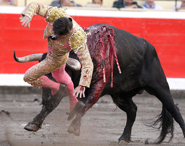 córneo dama duro en Albacete córneo dama duro en Albacete
