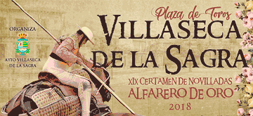Villaseca banner