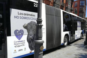 Autobús Valladolid