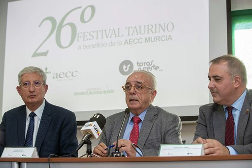 Festival Murcia 1