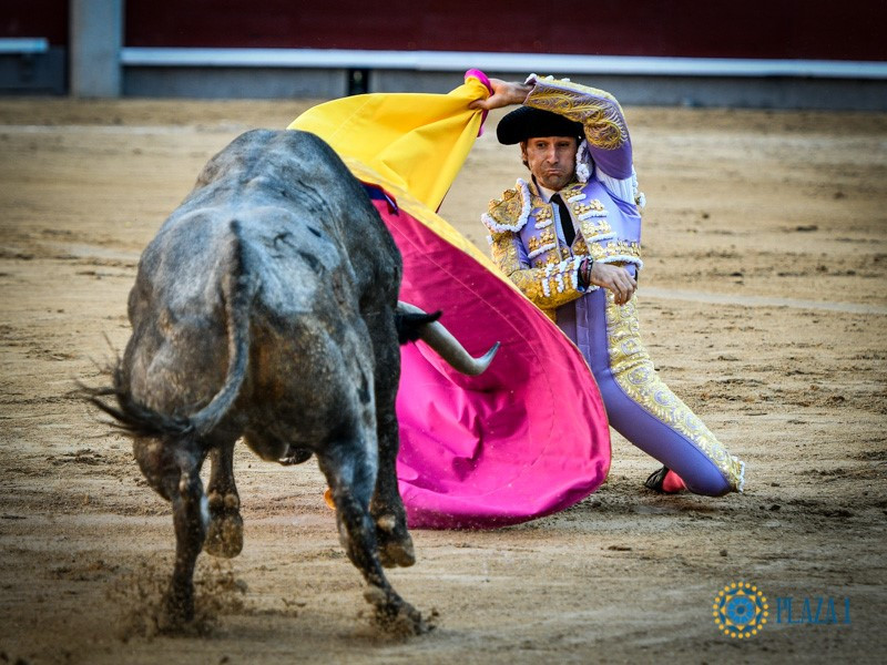 Alberto lamelas. las ventas.madrid. foto plaza1