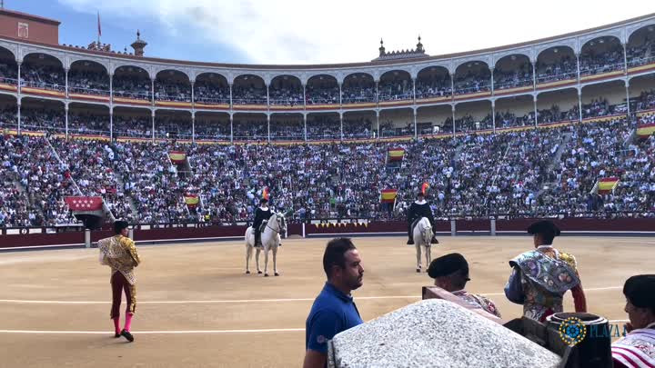 Las ventas. otoño. 5. video