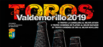 BANNER VALDEMORILLO 2019. 1