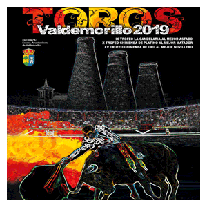 BANNER VALDEMORILLO 2019.2