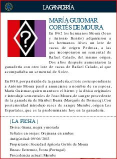 CARTEL 20. DOMINGO. 02 JUNIO. GANADERÍA