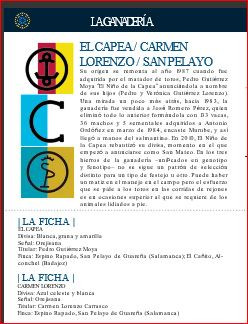 SAN ISIDRO 26 GANADERÍA