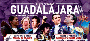 Guadalajara cuadrado