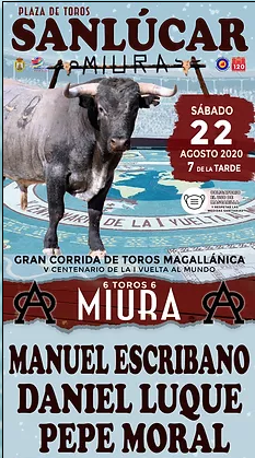 Captura de pantalla 2020 08 07 a las 9.16.38