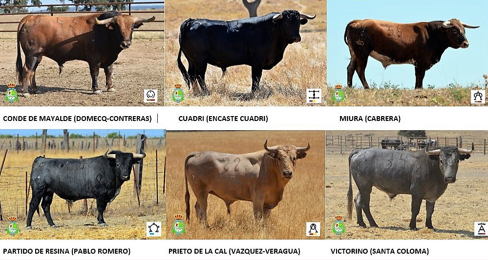 DESAFIO. VILLASECA