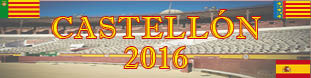 BANNERCASTELLON2016