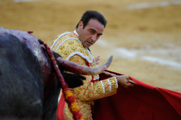 Ponce adolfos