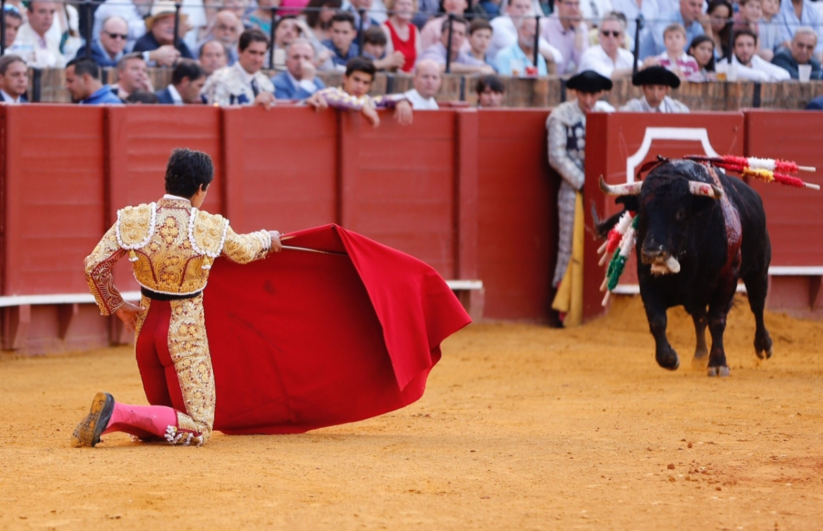 Primeranovilladamaestranza2017 14mayo 2