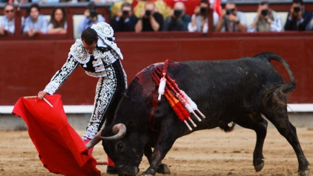 Toros Plaza de toros de las Ventas Madrid Feria de San Isidro Toros 312232866 80460412 1024x576