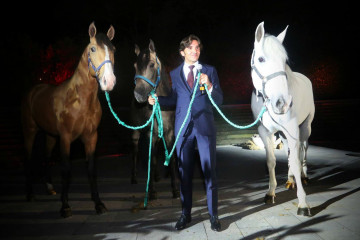 Presentacion caballos