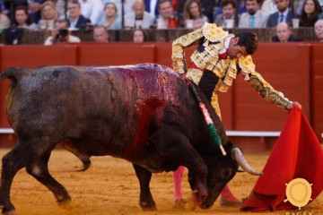 Justo victorino U30888231141DGB  620x349@abc