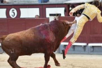 Juan leal 1