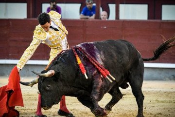 David Madrid 1