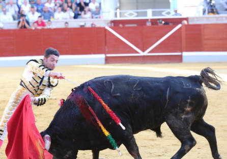 Villaseca 1