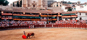 Plaza toros de chinchon2