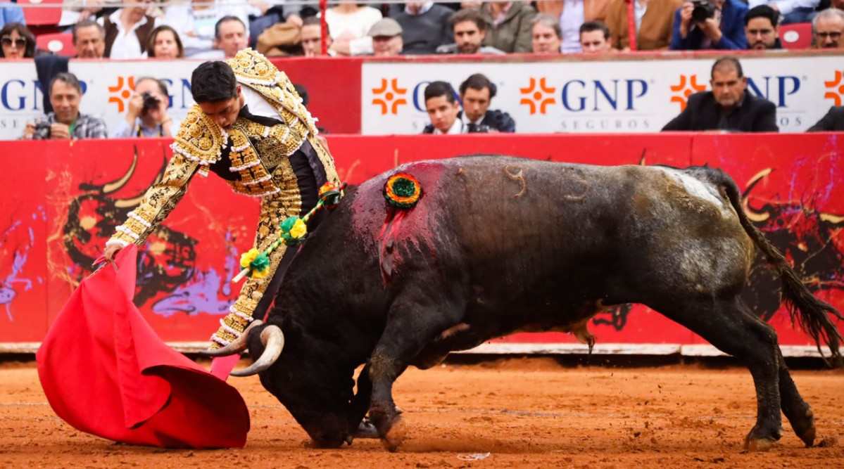 Sergio flores en la guadalupana 2019