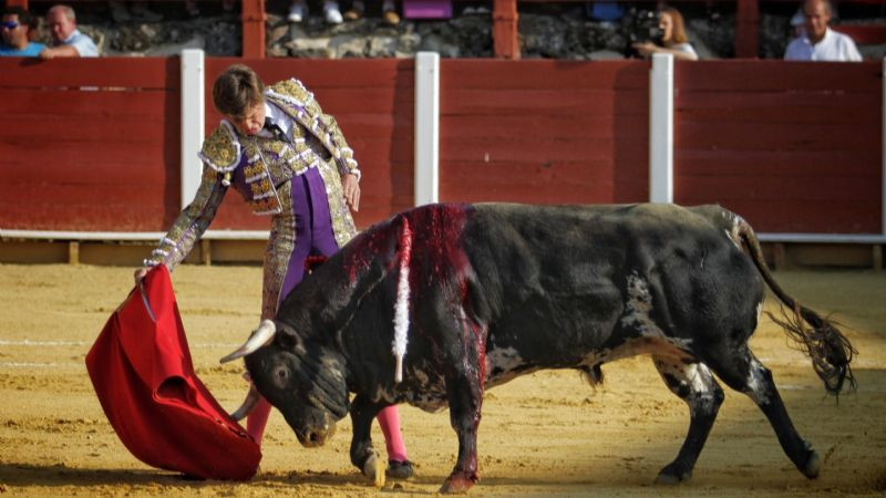 Marin en barcarrota