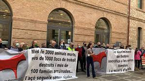 Ganaderos protestan en valencia