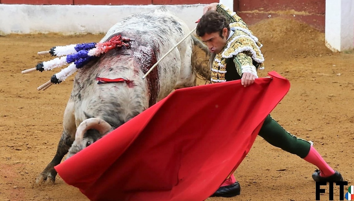 Robleño en zafrra