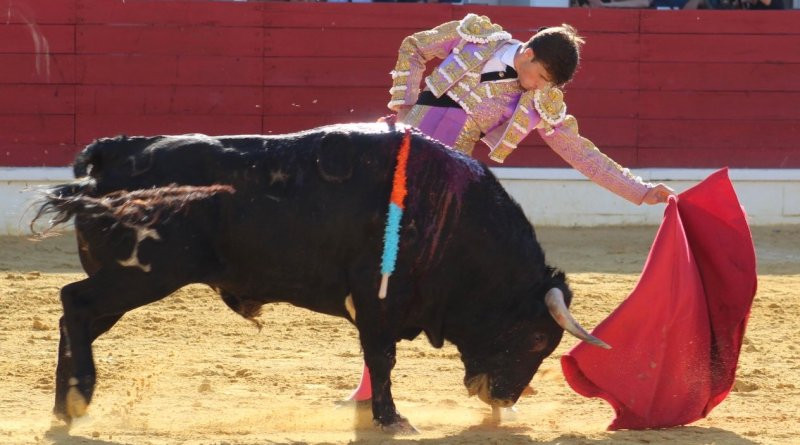 Sergio Rodriguez Medina del Campo