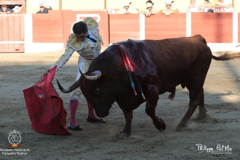 Corrida Ceret Portada.su00e1nchez vara