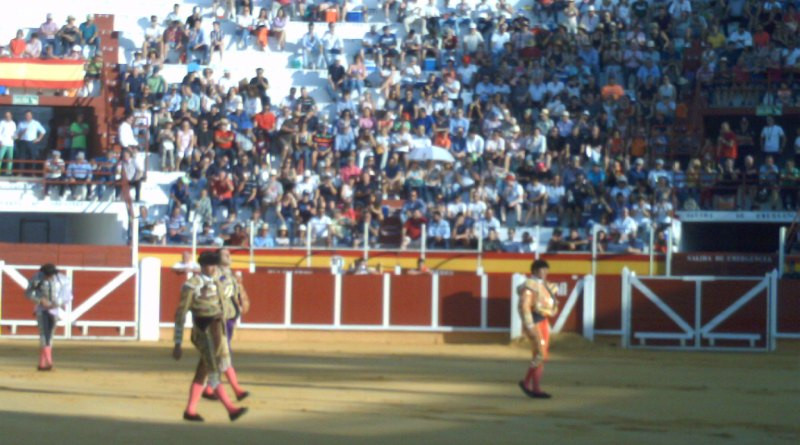 Paseillo Tomelloso 2019 1