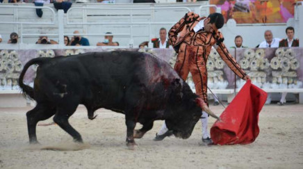 Segunda Corrida Arles Portada. milio de justo