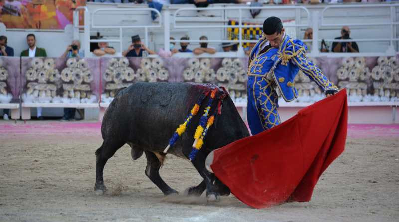 Talavante. arles. infotauro