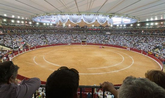 Plaza Zaragoza Pliego.infotauro