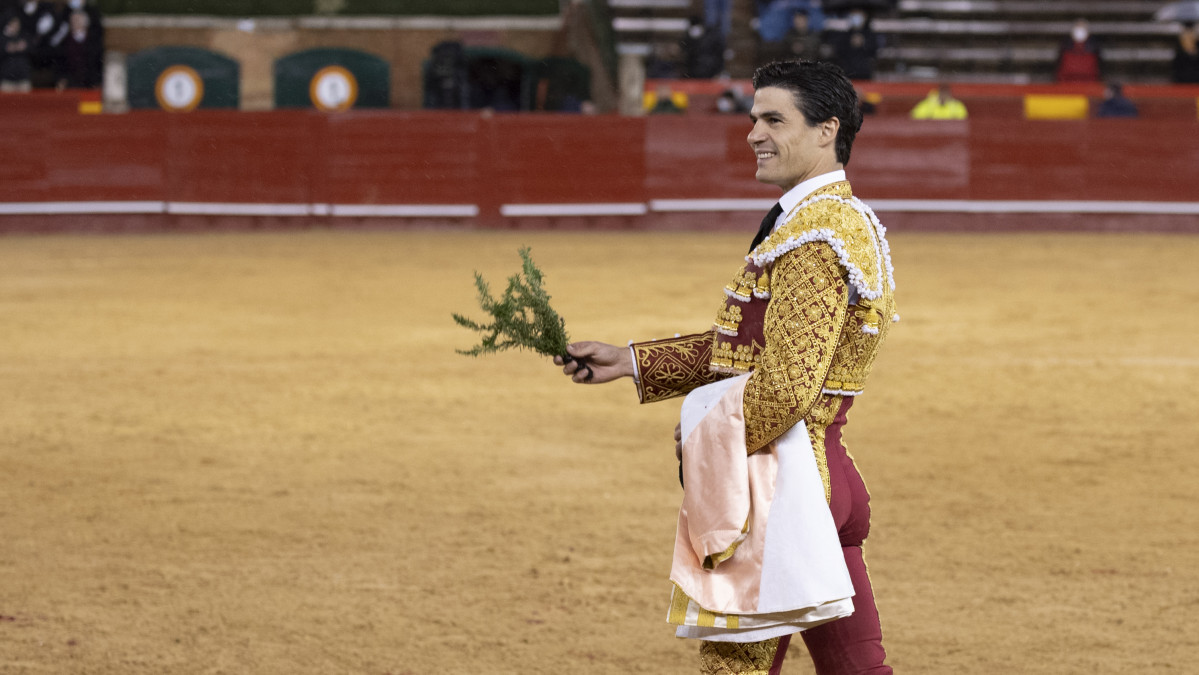 Auado oreja en valencia