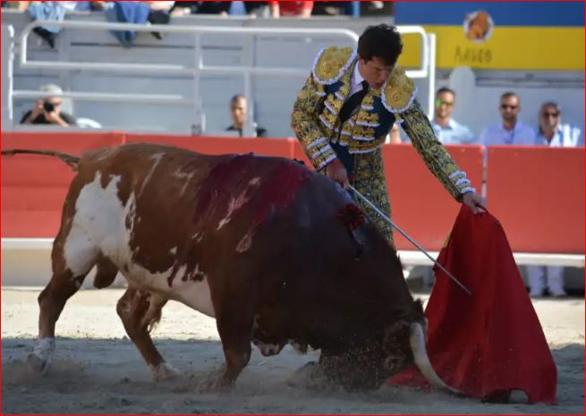 Luque y el toro aldeano en arles