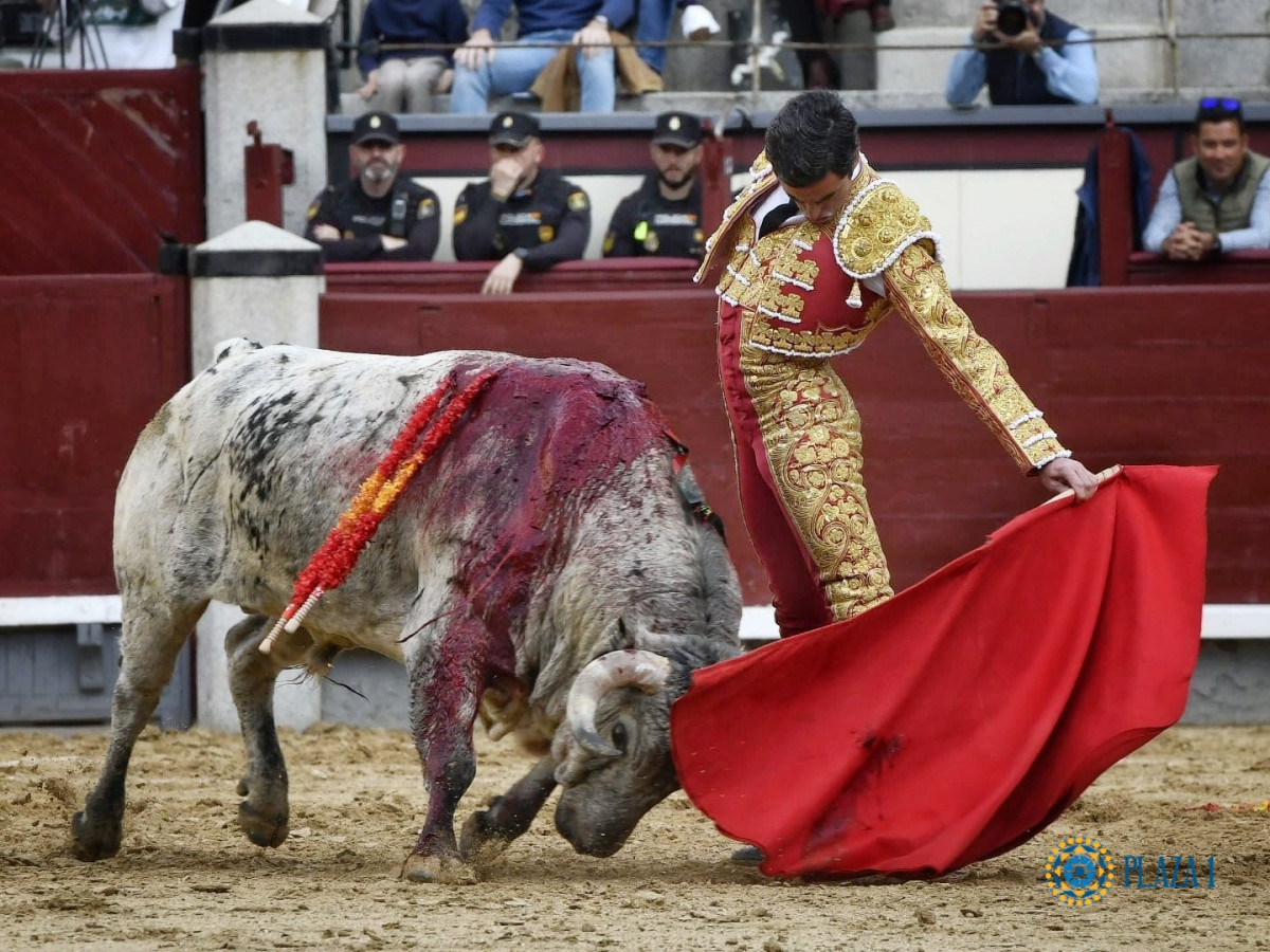 Toros de los mau00f1os. las ventas