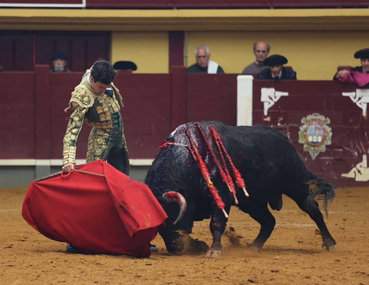 Rufo. alba 5