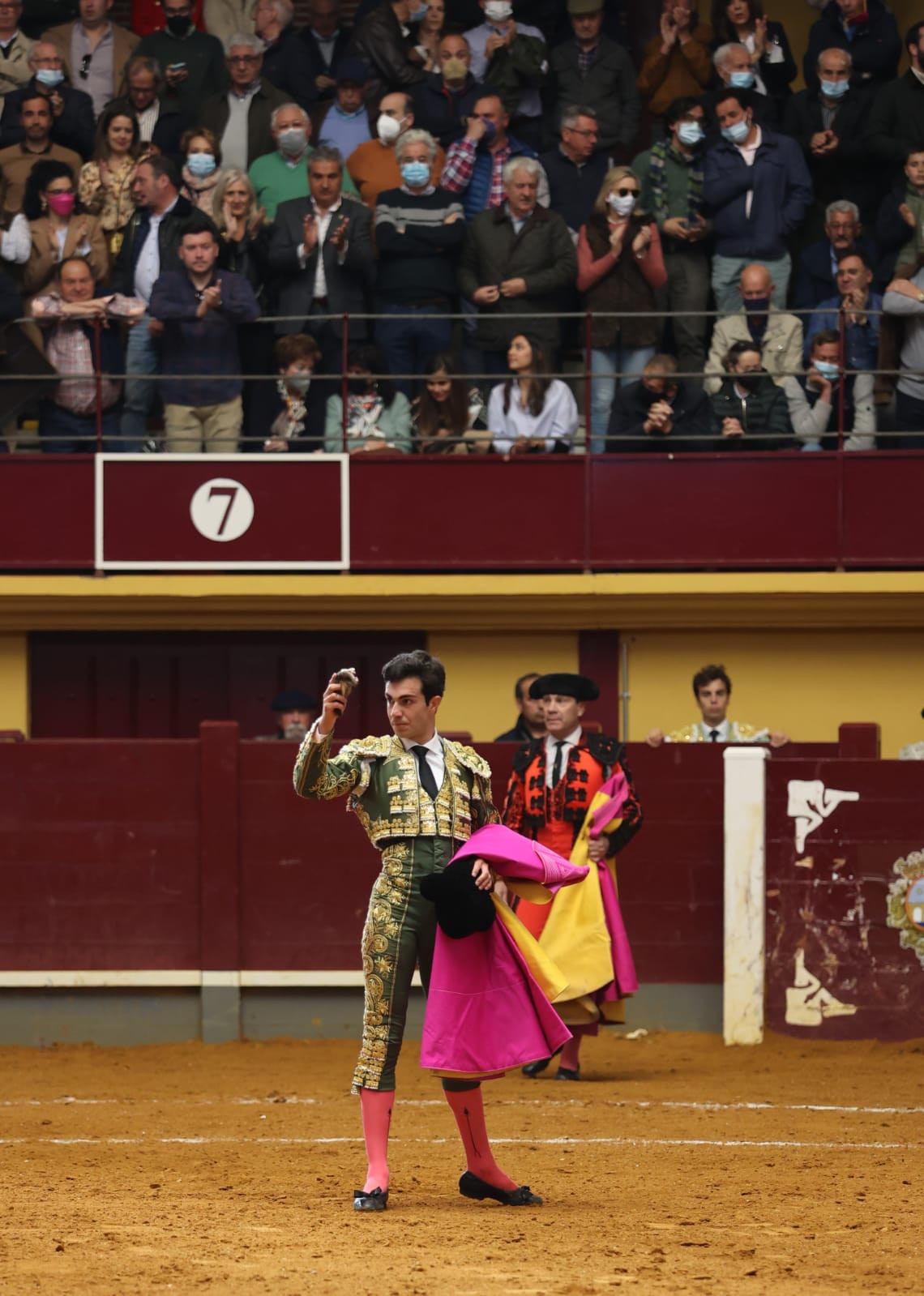 Rufo. alba 1