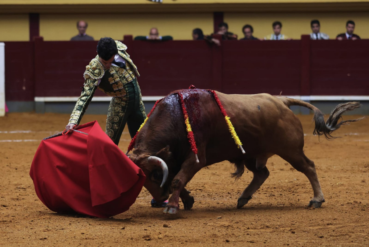 Rufo. alba 3