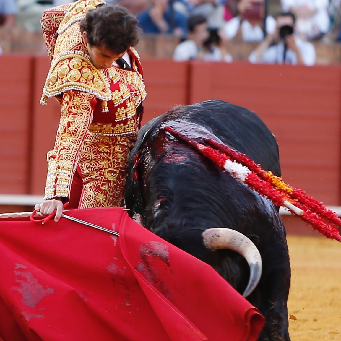 Burdiel. sevilla