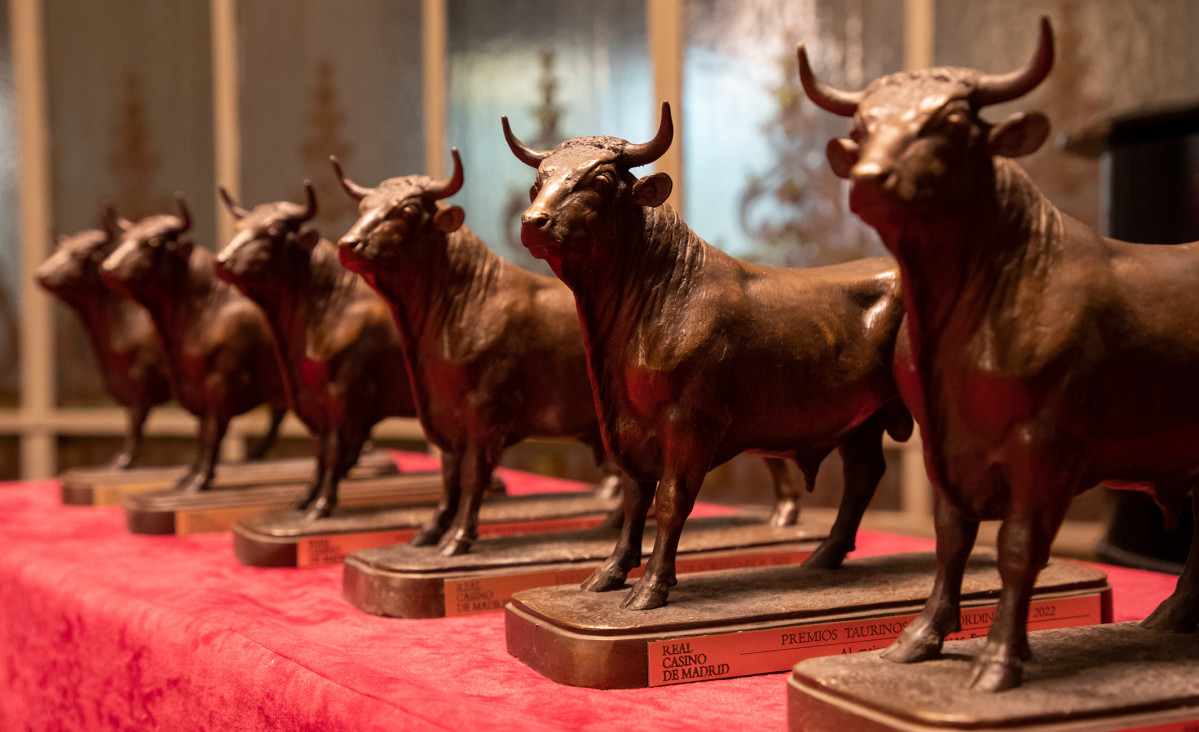 Torito premios RCM