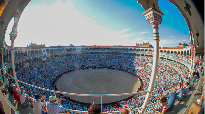 Plaza Ventas Carteles Otono