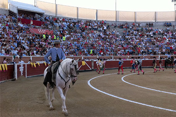 San sebastian de los Reyes 4