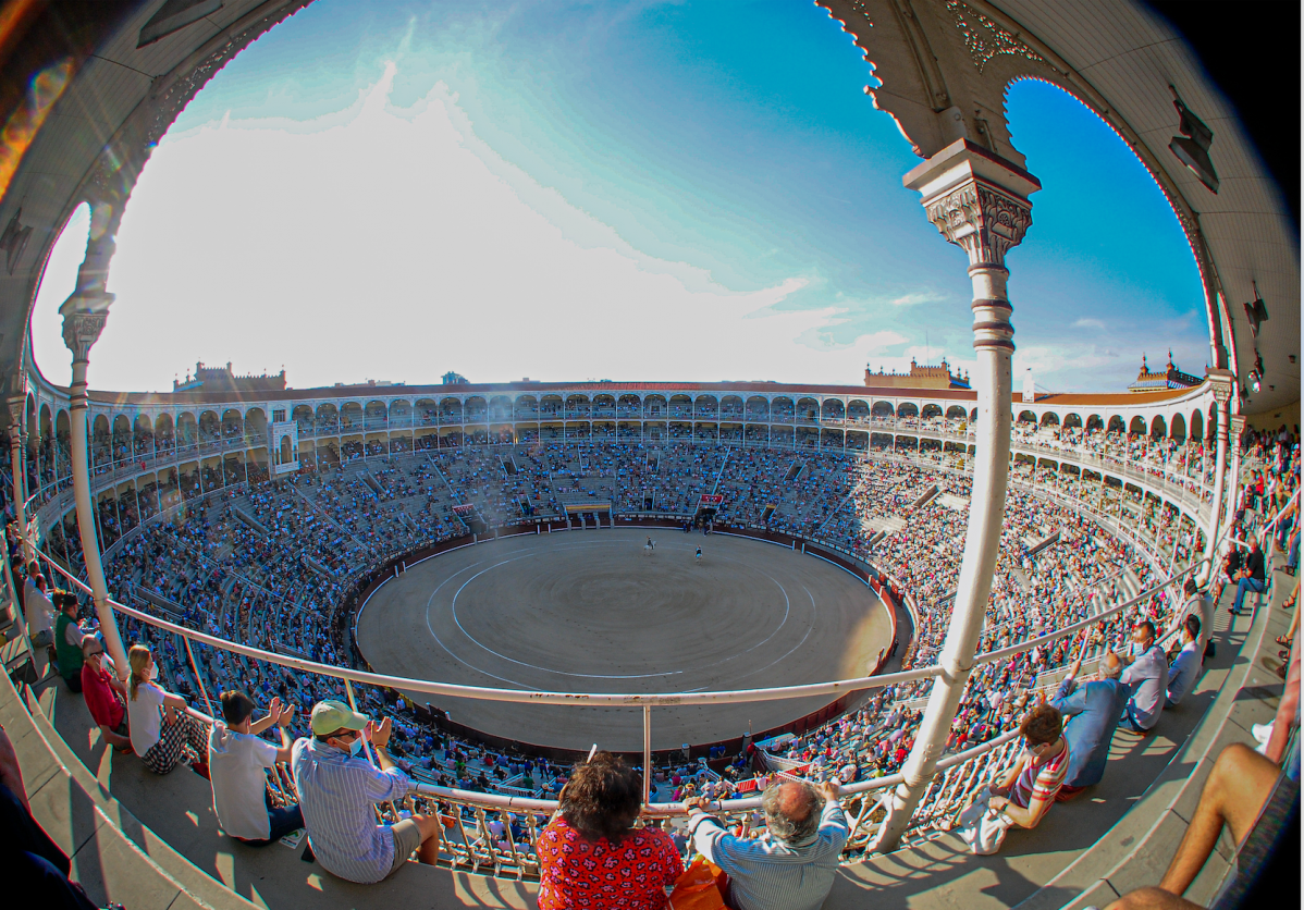 Plaza Ventas Carteles Otono