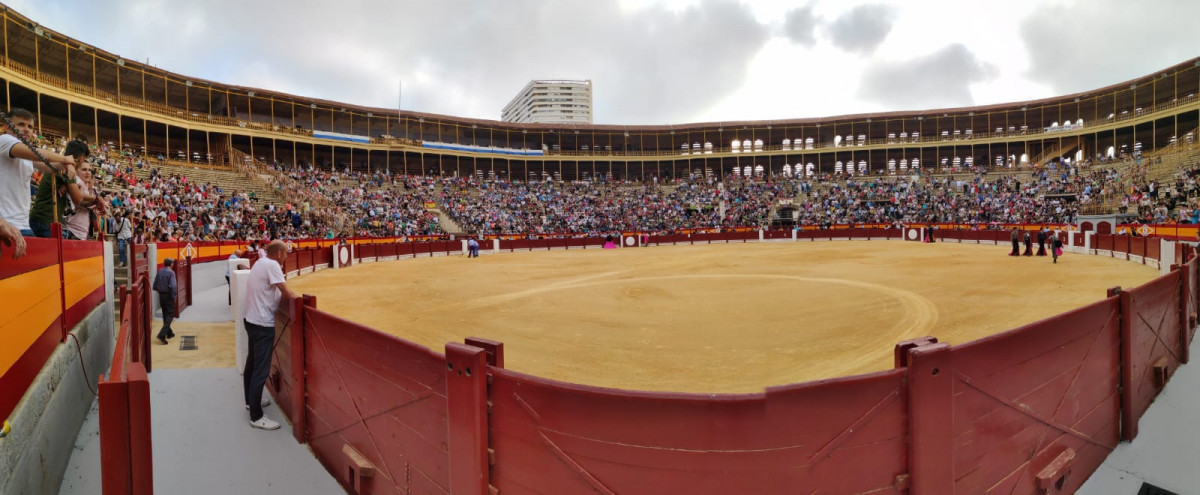 Plaza Alicante Novillada