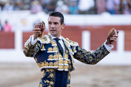 Manzanares Linares Portada