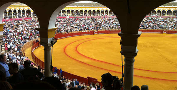 Bullringseville