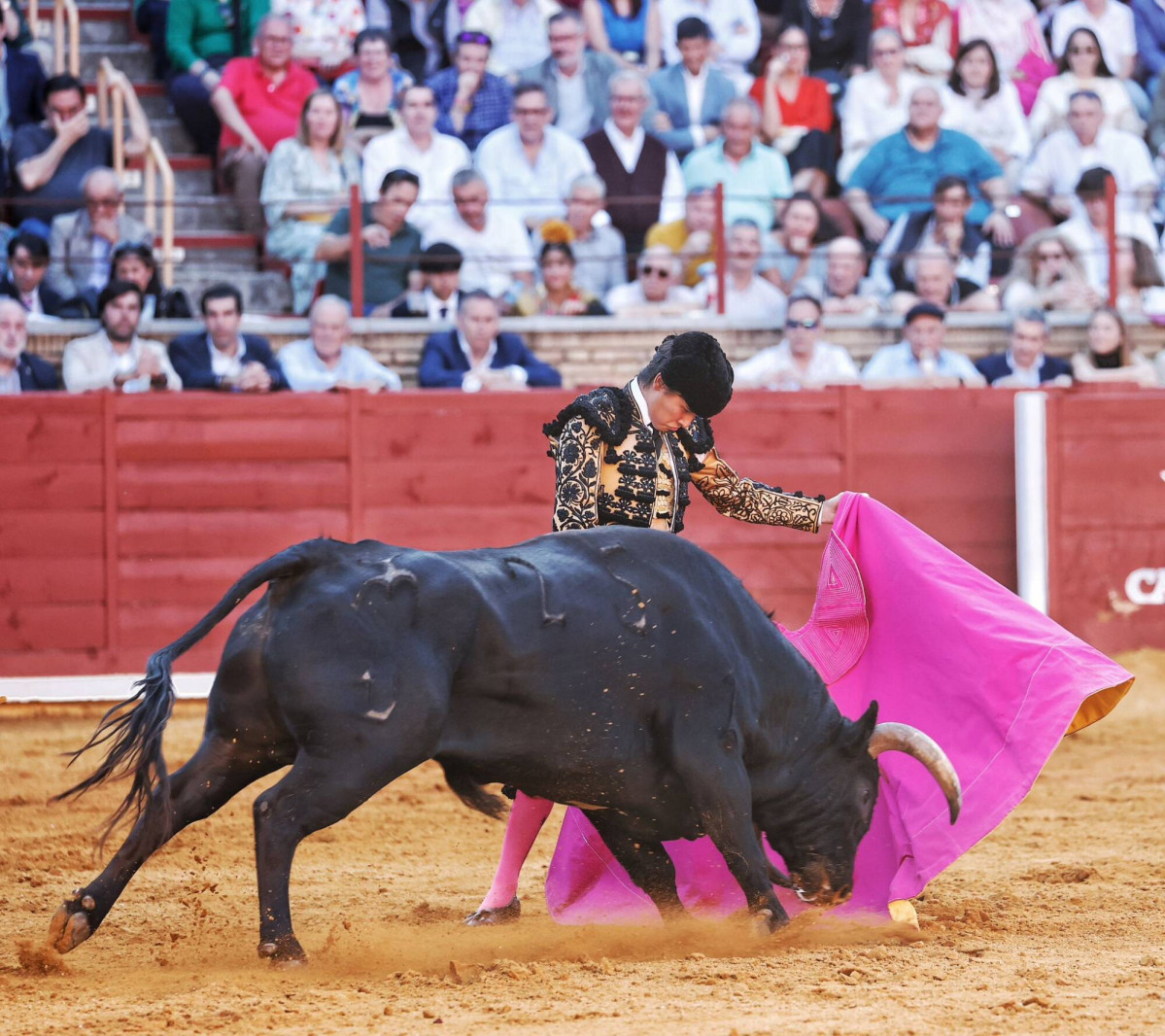 3u00ba manuel romu00e1n1 