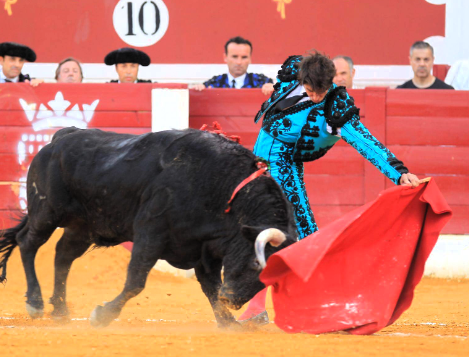 CAYETANO 1