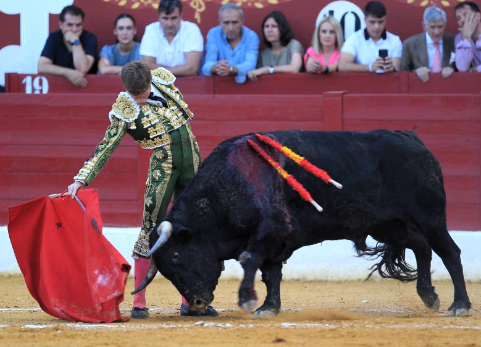 BORJA 3